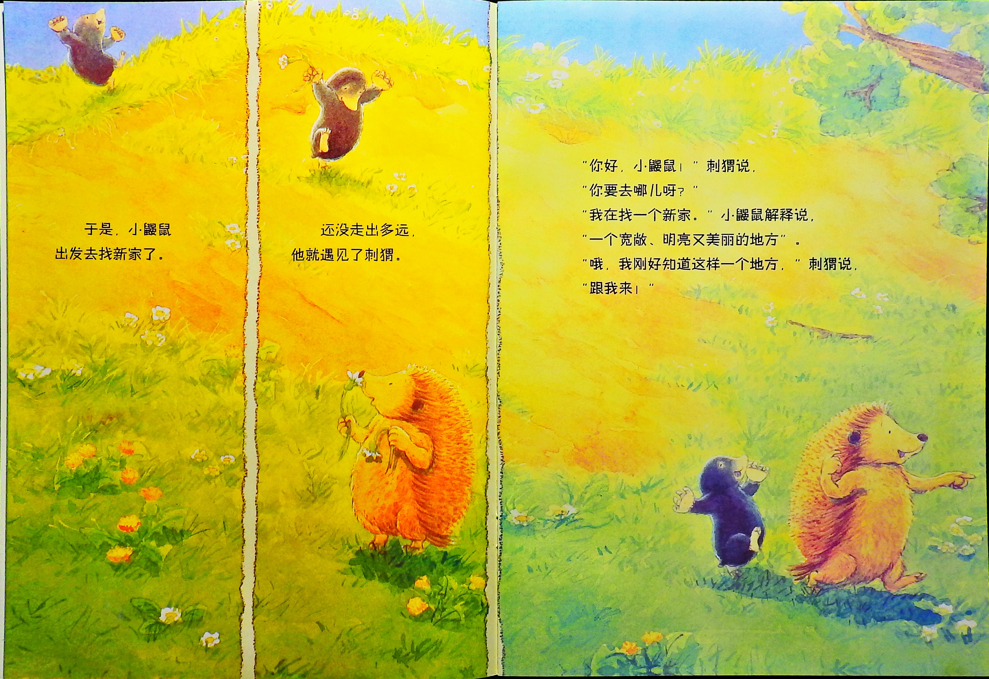 小鼹鼠找新家 (05),绘本,绘本故事,绘本阅读,故事书,童书,图画书,课外阅读